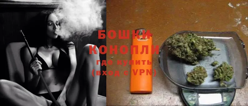 Канабис OG Kush  Касимов 